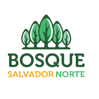 Logo do Bosque Salvador Norte | Apartamento Minha Casa Minha Vida | Tenda.com