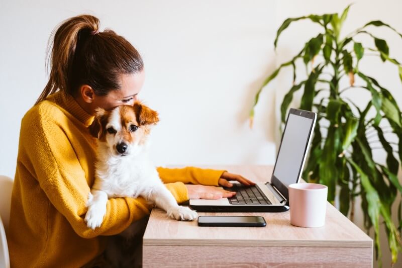 Foto de uma mulher trabalhando de home office com um cachorro no colo | Finanças para autônomos | Blog da Tenda