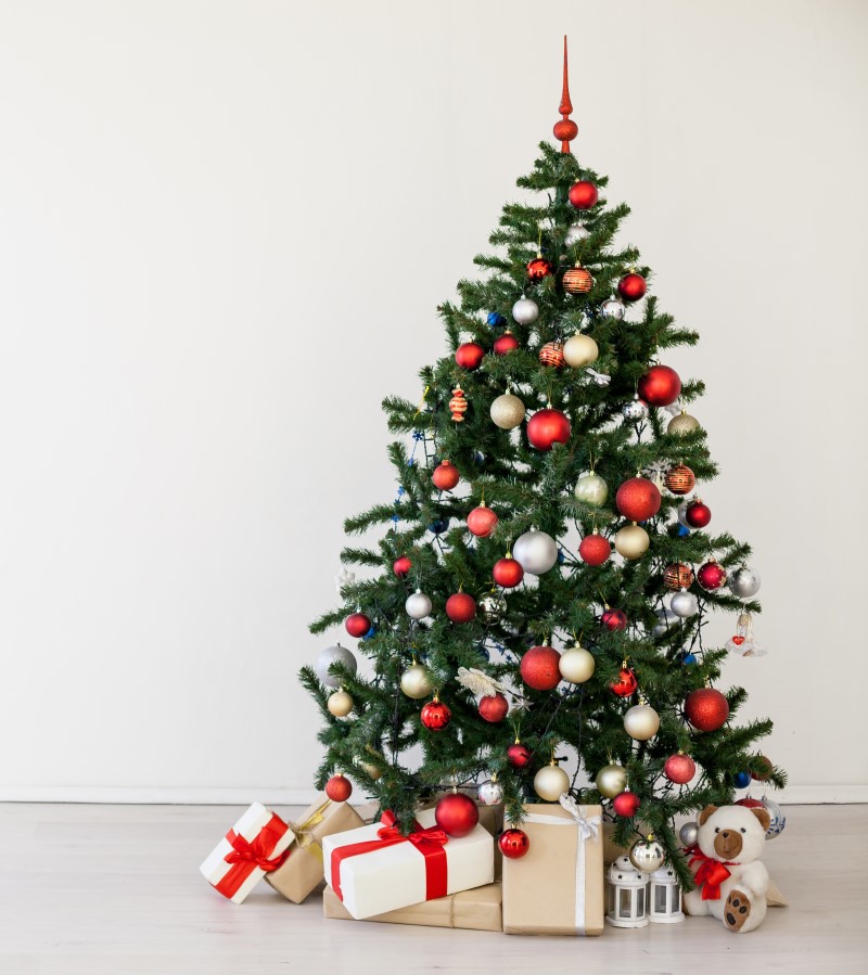 Tipos de árvore de Natal | Decoração de Natal | Blog da Tenda