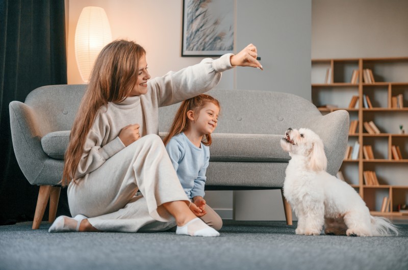 Maltês | Foto de um cachorro maltês brincando com um mãe e filha em apartamento | Viver em condomínio | Blog da Tenda 