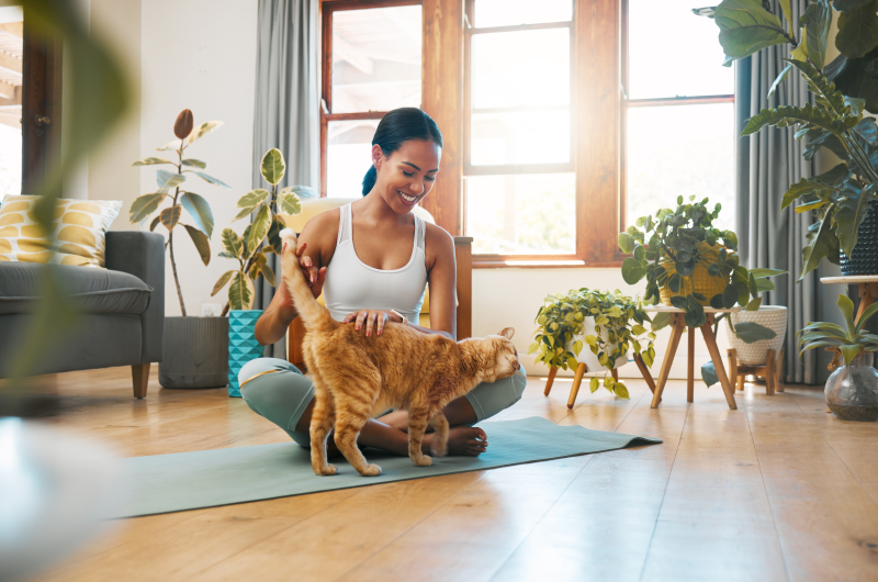 Benefícios de ter um animal de estimação | Mulher fazendo carinho em gato na sala de estar | Viver em Condomínio | Blog da Tenda 