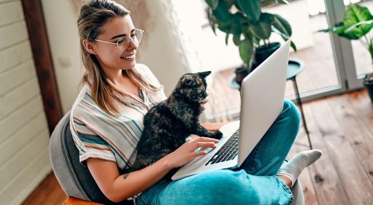 Animais de estimação para apartamento: descubra 7 opções ideais