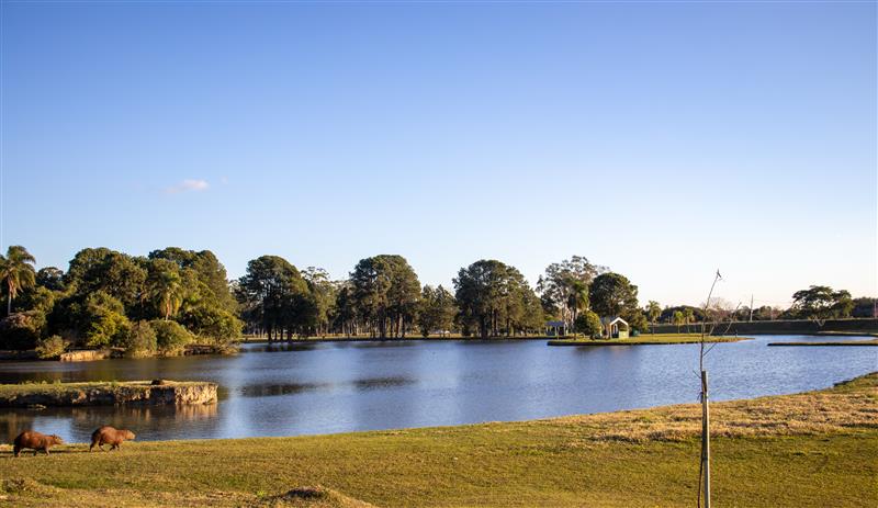 parque em sao jose dos pinhais