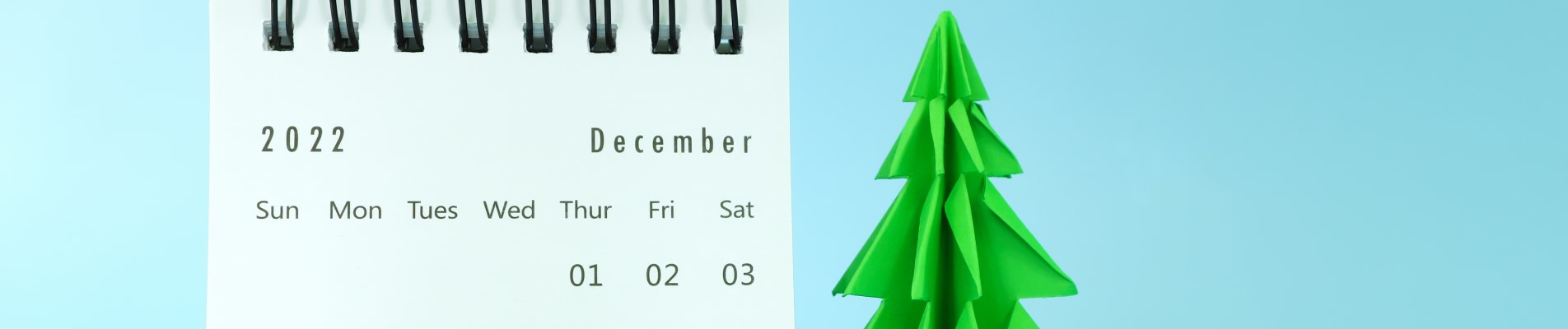 Dicas de dezembro | Foto de um calendário do mês de dezembro e uma árvore de Natal de papel | Como limpar o seu nome | Eu Dou Conta