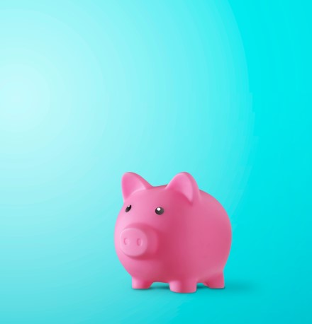 Por onde começar a investir? 7 dicas para aprender sobre investimentos | Foto de porquinho cor-de-rosa em um fundo azul | Economia e renda extra | Eu Dou Conta